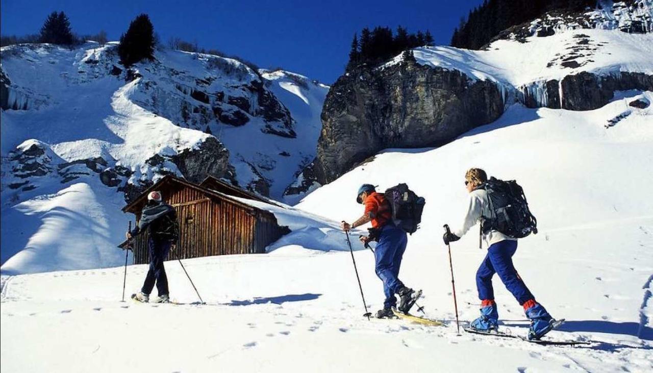 Les Aiguilles De Warens Villa Комбо Екстериор снимка